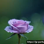 향수와 환경친화성 - **Prompt for Natural Ingredients & Serene Origin:**
    "A macro shot capturing dew drops on the pet...