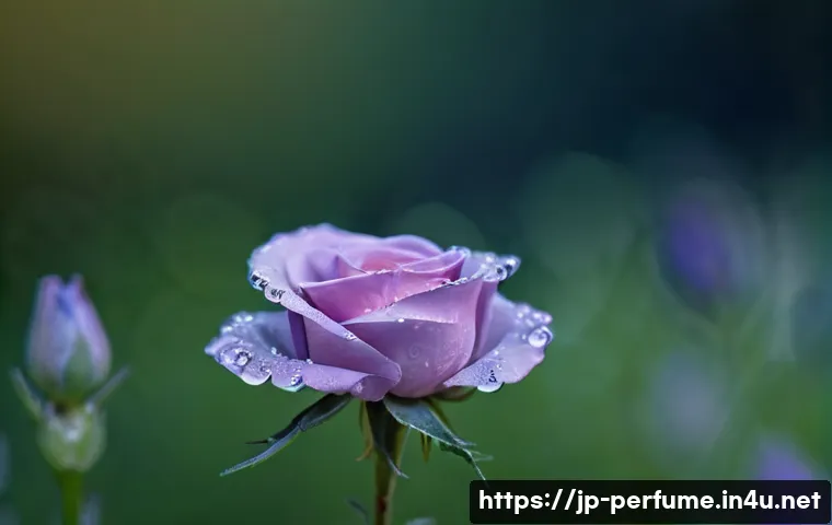향수와 환경친화성 - **Prompt for Natural Ingredients & Serene Origin:**
    "A macro shot capturing dew drops on the pet...